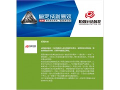 石家莊品牌營銷策劃 多維整合驅動市場增長